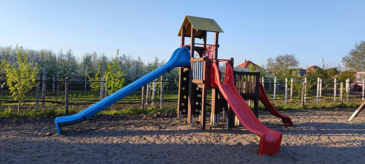 Village Garden Family Guest House Tiszakanyar Exterior photo